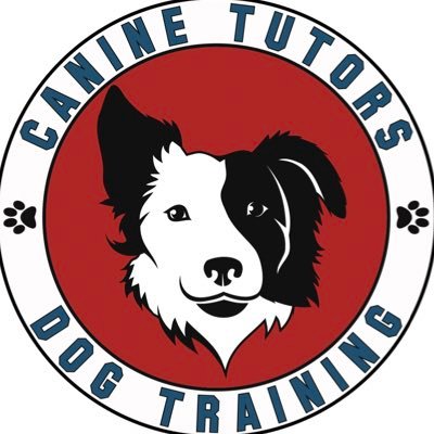 Canine Tutors Dog Training Makes Training Your Dog Or Puppy Fast And Easy! https://t.co/z7UHPOBE8G
