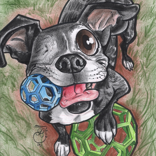 Borgie763's profile picture. 