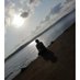Muhammed Salih AKINCI (@salihaknc34) Twitter profile photo Muhammed Salih AKINCI (@salihaknc34) Twitter profile photo