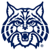 UAZ Wildcat Hockey (@UAWildcatHockey) Twitter profile photo