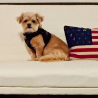 brian rogers (@briancrogers) 's Twitter Profile