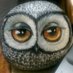 Care Free (@stormythehornet) Twitter profile photo Care Free (@stormythehornet) Twitter profile photo
