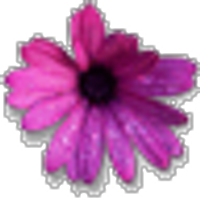 Dr. Erin E. Centeio (@ecenteio) 's Twitter Profile Photo