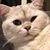 Courtneychow (@courtneychow628) Twitter profile photo Courtneychow (@courtneychow628) Twitter profile photo
