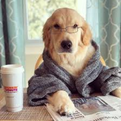 Marceloboris3's profile picture. 