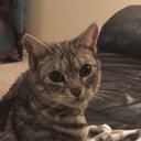 Envy Crowey - @NoahCrowe6 - Twitter