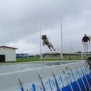 Darin Beck - @darin_beck - Twitter