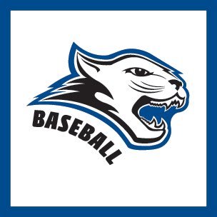 CamdenccP's profile picture. Promoting Camden County Cougars Baseball Players in their quest to move to the Next Level!!