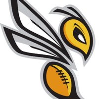 İTÜ Hornets (@ituhornets) 's Twitter Profile