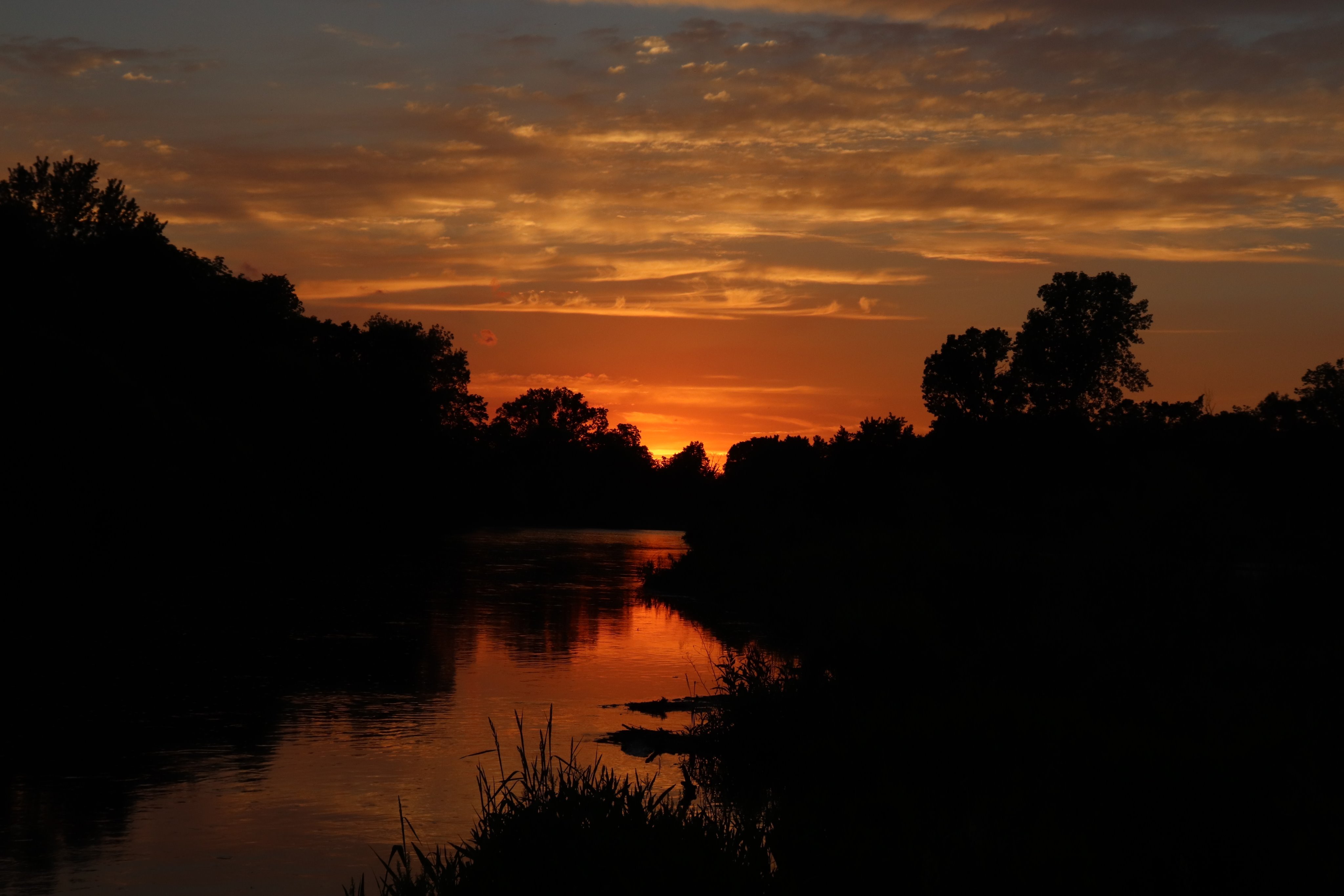 Aqueous389's profile picture. 