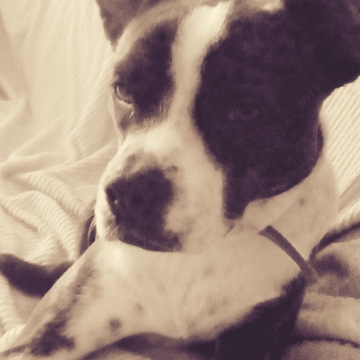 alandete_laura's profile picture. Professora d'FP Especialitat Hosteleria i Turisme
IES Gregori Maians