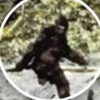 Squatch (@big_germz) 's Twitter Profile