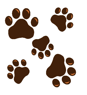 The Mom & Paw Shop is an online pet supply store providing all kinds of products to please your paws!