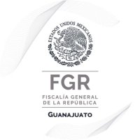 Guanajuato (@fgr_gto) 's Twitter Profile