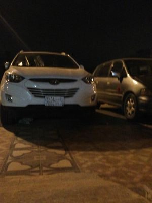 WFqPTex7tF1Xdtl's profile picture. 