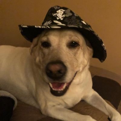 Proud father. WhiteSox, Bears, Blackhawks, Dog lover. Father first. Christian. Conservative. #NRA RINOS must go! Don't agree with all retweets.
