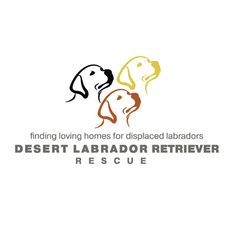 DLRR is an all-volunteer, 501(c)(3) non-profit rescue organization for Labrador Retrievers in Arizona.