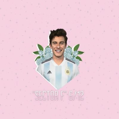 Vamos a ver a Shawn Mendes en vivo!🌹
 Sector F campo delantero tiene aguante. 
〰️
Fifis💗