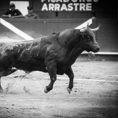 @TorosDeLidiaMX