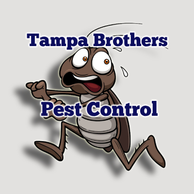 Professional pest control Company we can make sure that your pest control problem is resolved quickly and effectively. You won't have to worry about your pest.