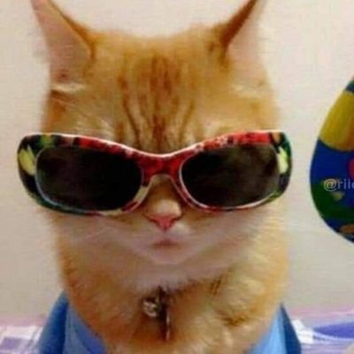 Rosario99412853's profile picture. 