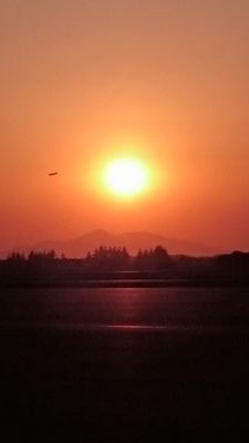 DOHC67108794's profile picture. 