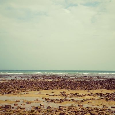 Tinyrem2's profile picture. 