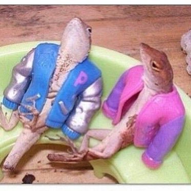 funydogeatpepsi's profile picture. 