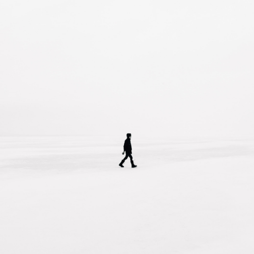 josee_fernandes's profile picture. 