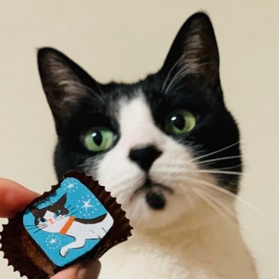 miina37_ruru's profile picture. 三浦祐太朗さん推しの日々♡ほがらかさん♡︎保護猫・白黒ハチワレ(るる)グレー(うた)クロトラ(たろ)✩︎ ✩︎✩︎ パン活・ハンドメイドhttps://t.co/foaAqfLtoJ
