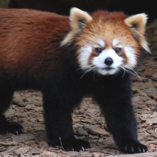 simizu2000's profile picture. 清水博之／ソウル弘大の訪問ライター／副業に雨乃日珈琲店／著書に『韓国タワー探求生活』（韓国語、ユアマインド）、訳書に『古本屋は奇談蒐集家』（ユン・ソングン著、河出書房新社）ほか／simizu2000(a)gmailﾄﾞｯﾄｺﾑ