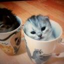 leila nelson - @lele6545 - Twitter