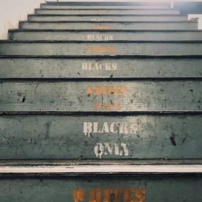 1000words1pic's profile picture. Photographer, DOP.