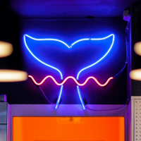 Ghost Whale (@ghostwhaleldn) 's Twitter Profile Photo Ghost Whale (@ghostwhaleldn) 's Twitter Profile Photo