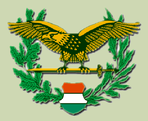 MagyarHonvedseg's profile picture. 