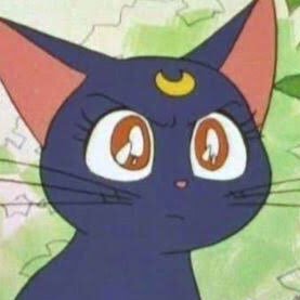 ______JUNKYU's profile picture. 