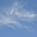 darcy wells - @darcxoxolove - Twitter