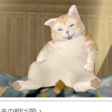 DQX写真コンテスト記録課さんのプロフィール画像