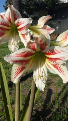 vermar91911's profile picture. 