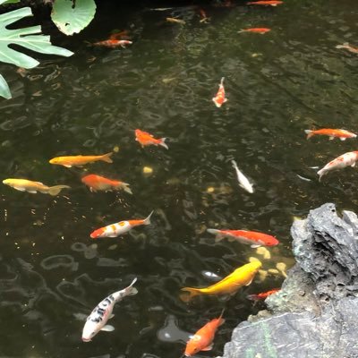 june0927311's profile picture. 