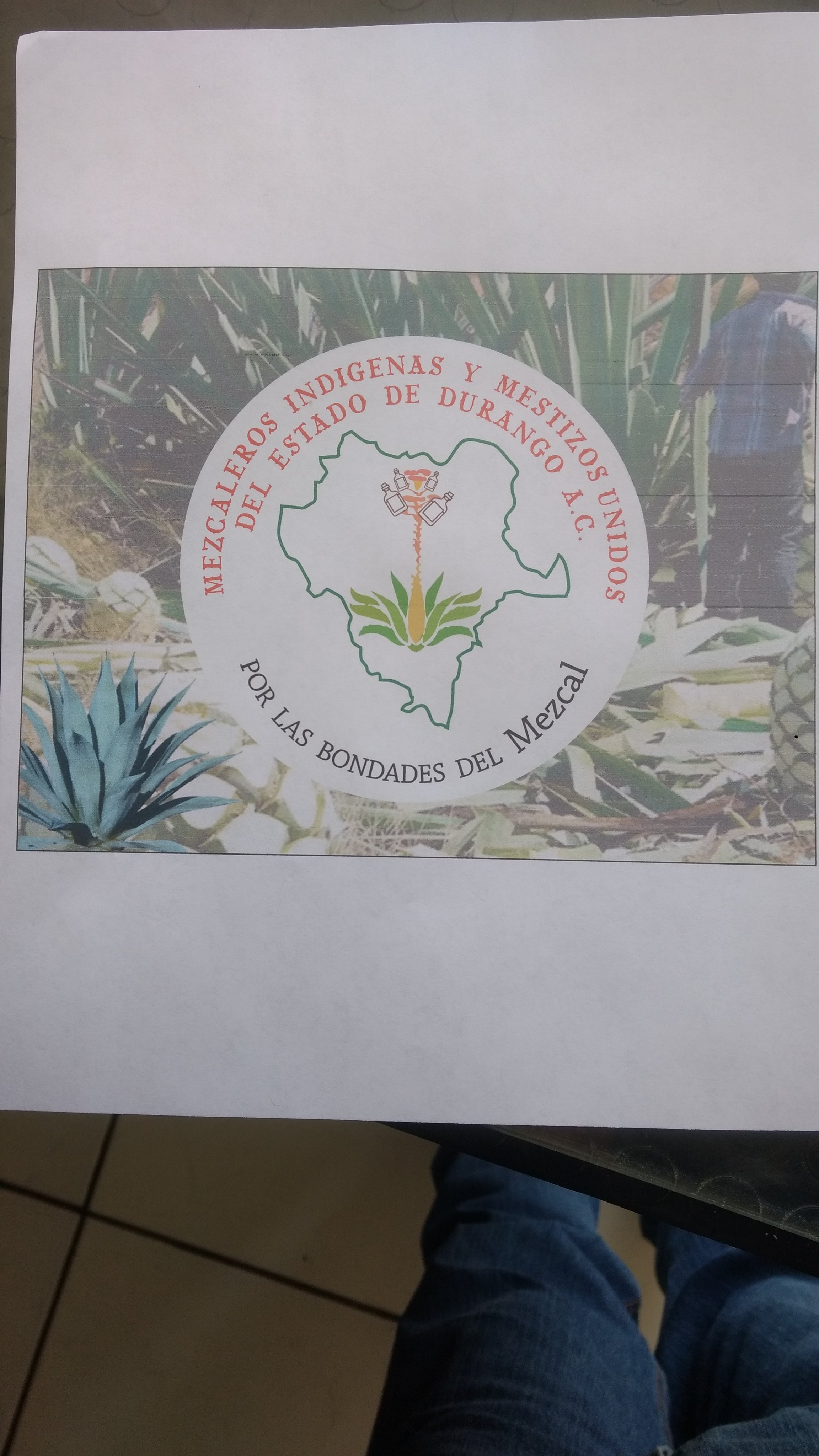 JosAndrsHernn16's profile picture. Por las bondades del mezcal