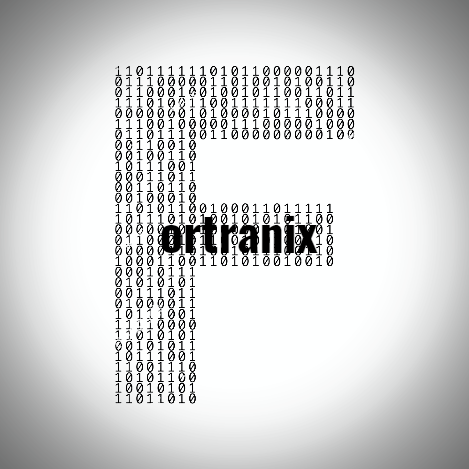 With over ten years’ experience in both the private and public sector and a first class degree from a top university, Fortranix’s founding director began a jour