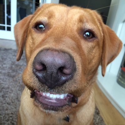 gjc183's profile picture. 