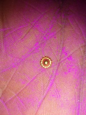 KumarGhandan's profile picture. 