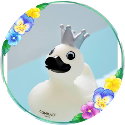 34W18's profile picture. 43歳母。旦那は3歳年下の育児頑張る頑固マン🙋‍♂️長男ぴよた、優男でLaQや乗り物大好き。👦長女ぴよ美は3歳の自己主張激しいレディ👧最近プリンセスにハマった👸千葉出身転勤族ファミリー。eighterですが、タムやSixTONES、スノも応援📣