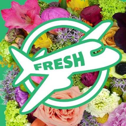 Jet Fresh Flower Distributors is a family-owned and operated importer, distributor and grower of fresh-cut wholesale flowers celebrating 11 years of freshness!