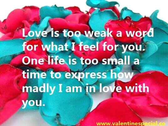 davidrand93's profile picture. Worshiper;christian hard worker ,praying watching TV listening to gospel etc.....