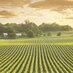 Agronews Albania (@agronewsa) Twitter profile photo Agronews Albania (@agronewsa) Twitter profile photo