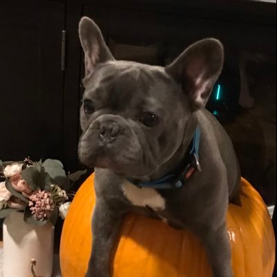 motokid548's profile picture. 