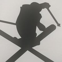 Skicaerleon2019 (@skicaerleon2019) 's Twitter Profile